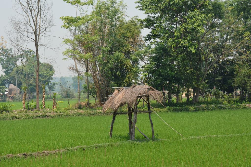 Barauli Community Homestay Chilha Exterior foto